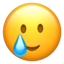 smiling face with tear